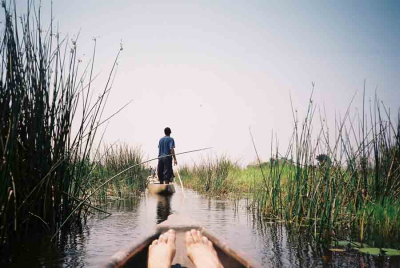 delta Okavango
