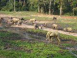 Zaj�mav� m�sta  - St�edoafrick�  republika