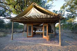 Makololo Plains and Little Makollo **** - NP Hwange  - Zimbabwe