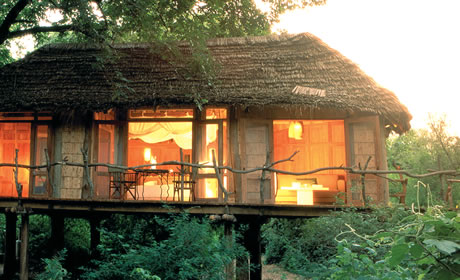 Lake Manyara Tree Lodge *****- NP Lake Manyara - Tanzánie
