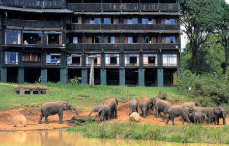 Serena Mountain lodge *** - Arusha - Tanznie