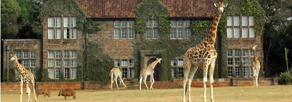 The Giraffe Manor ****- u Nairobi -  Keňa