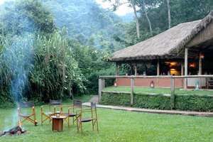 Gorilla Forest Camp - NP Bwindi - Uganda