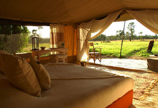 Sayari Camp - Serengeti - Tanznie