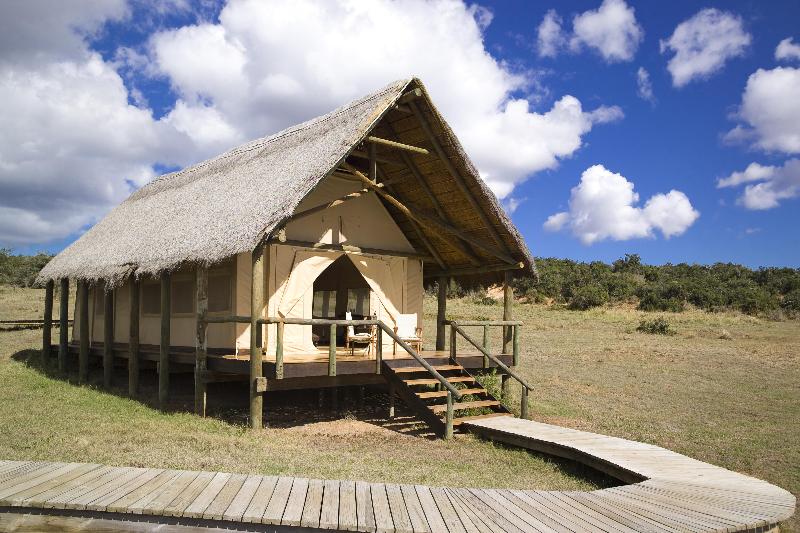 Gorah Elephant Camp -***** - soukrom koncese v NP Addo Elephant -JAR