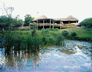 Zululand Tree & Safari lodges **** - u Hluhluwe - JAR