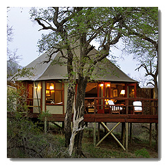 Hamiltons Tented Camp **** - privtn koncese v NP Kruger -JAR