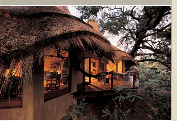 Pondoro Game Lodge **** - Balule Game Reserve - JAR