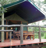 Simbavati River lodge *** - Timbavati Nature reserve - JAR