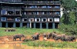 Serena Mountain lodge *** - Arusha - Tanznie