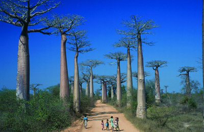 Tis�ce pohled� na Madagaskar - 11 dn� JEN (p)