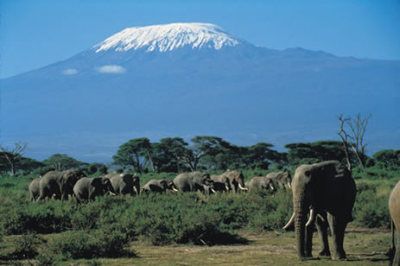 Výstup na Kilimanjaro (cs)