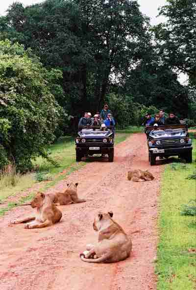 Safari v autech v NP South Luangwa