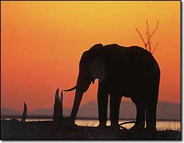 Namibie a Botswana - 14 dn� ATC/VS14 (ek)