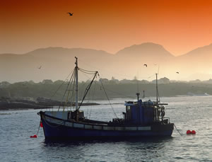 Hermanus
