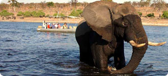 Chobe