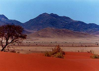 Namib