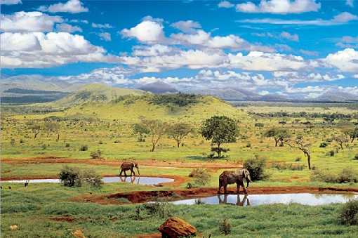 Tsavo West