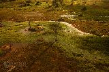 Fotosafari v Botswan